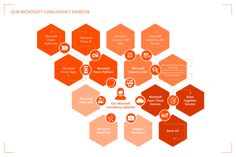 ORBIS Microsoft consulting expertise